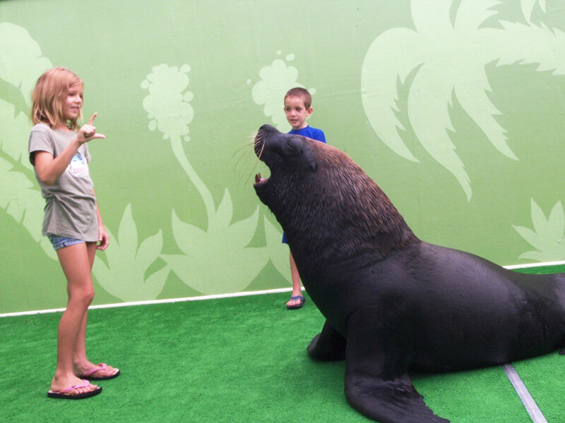Coral World Ocean Park Foto: Divulgação