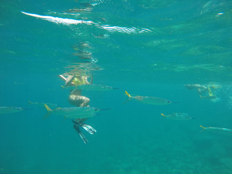Snorkel em Creole Rock Foto: Lala Rebelo