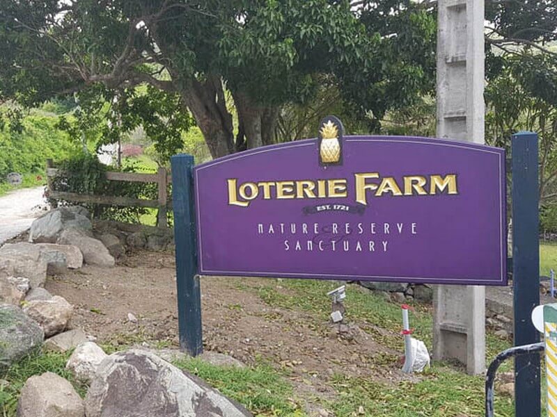 Loterie Farm Foto: Lala Rebelo