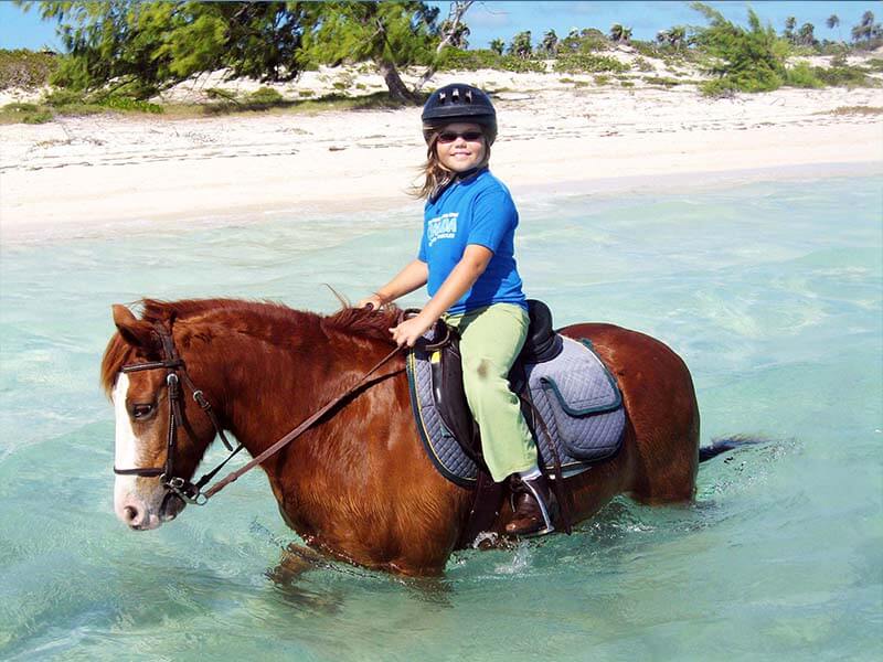 Passeio de cavalo Foto: Divulgação