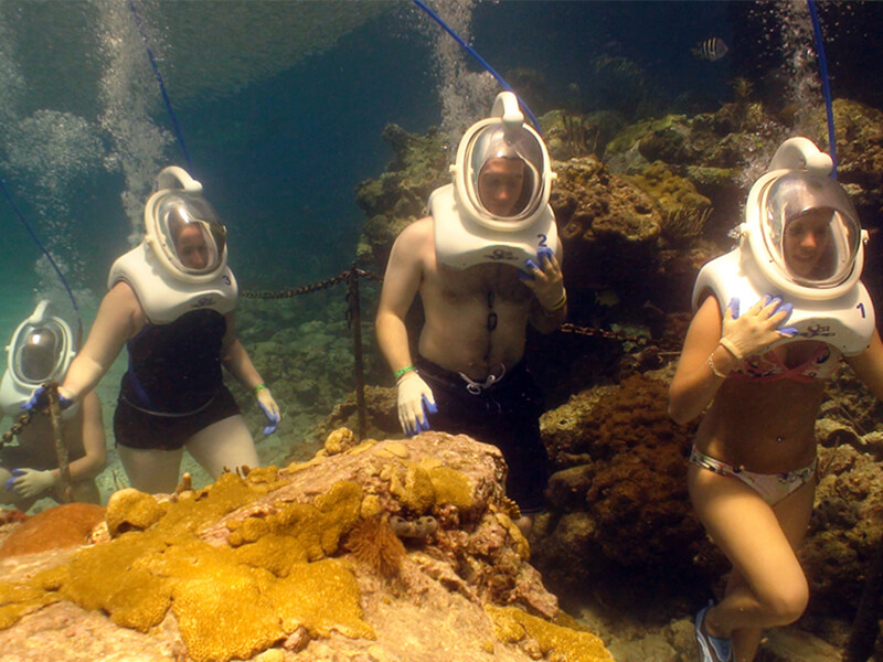 Trek Dive no Coral World Ocean Park Foto: Divulgação