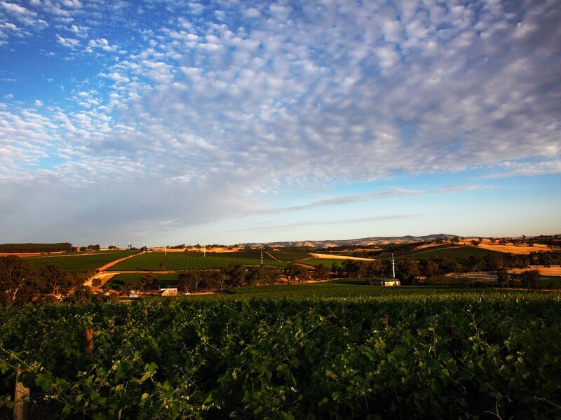Hentley Farm Restaurant Foto: Divulgação