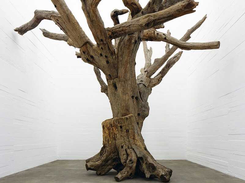 Ai Weiwei, "Tree" (2009-2010) Foto: Divulgação