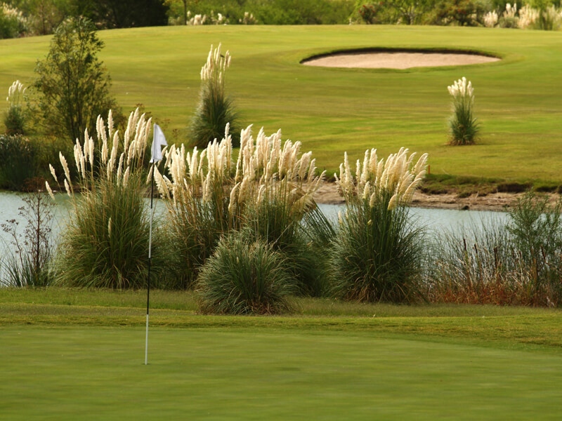 Campo de golfe em Carmelo Foto: Carmelo Resort & Spa, A Hyatt Hotel