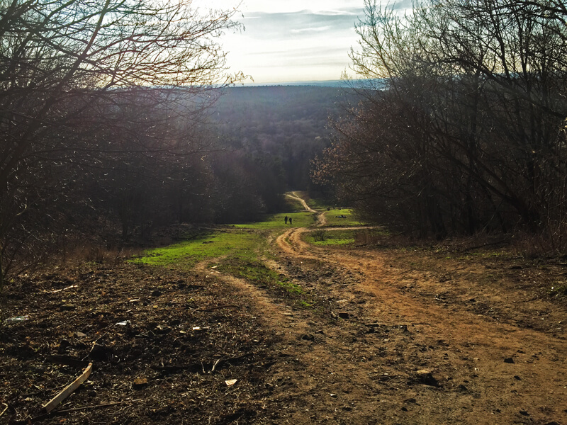 Antiga pista de esqui, que hoje pode ser contemplada no caminho de Teufelsberg, ao subir o monte Foto: Laura Ammann