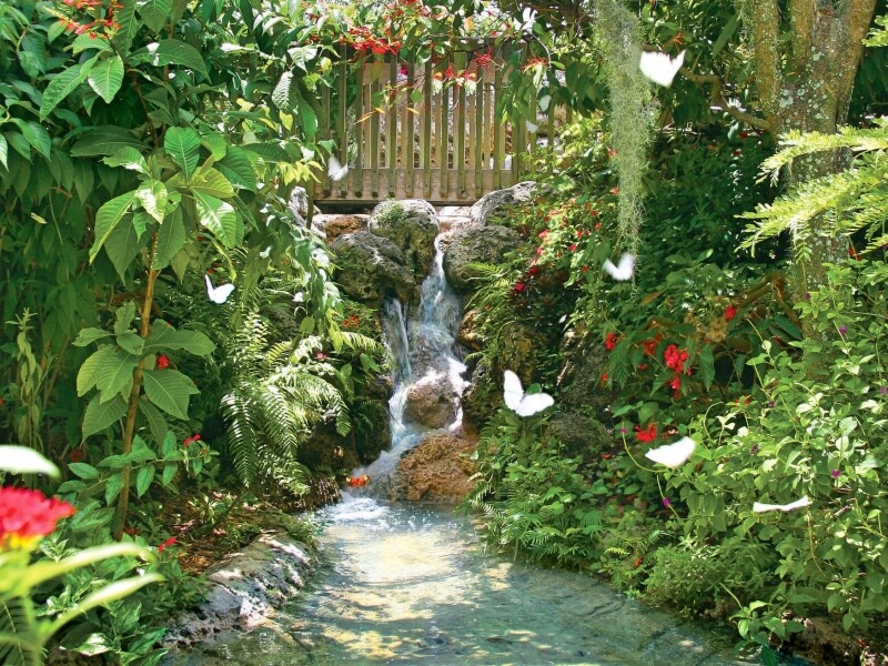 Butterfly World Foto: Reprodução