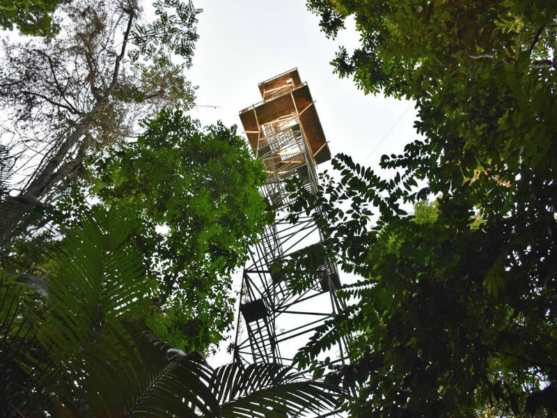 A torre vista de baixo Foto: Lala Rebelo